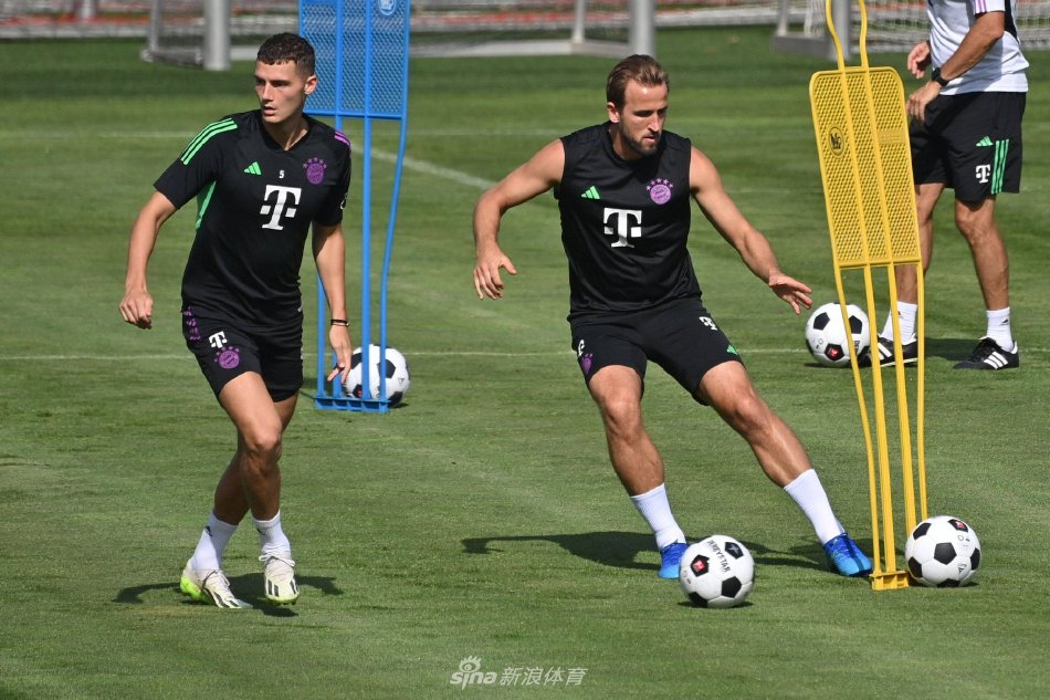 案例分析 案例分析